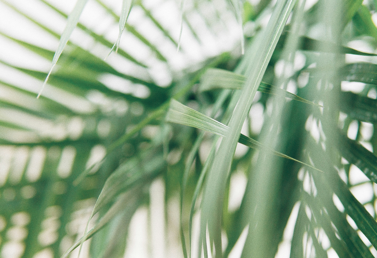 Why You Keep Choosing the Wrong Skin Treatment (And What to Do Instead)